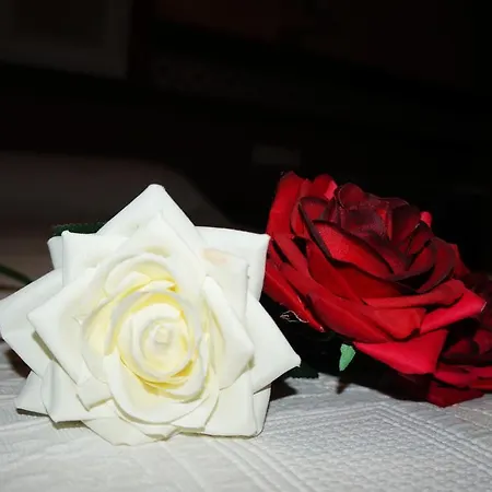 La Conilena Guest house